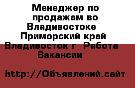 Менеджер по продажам во Владивостоке - Приморский край, Владивосток г. Работа » Вакансии   